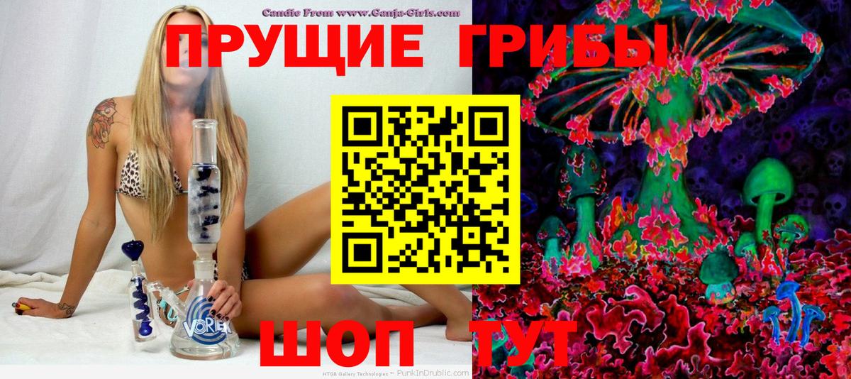 Александров  Галлюциногенные грибы GOLDEN TEACHER  Вход с VPN  Псилоцибиновые грибы мухоморы 
