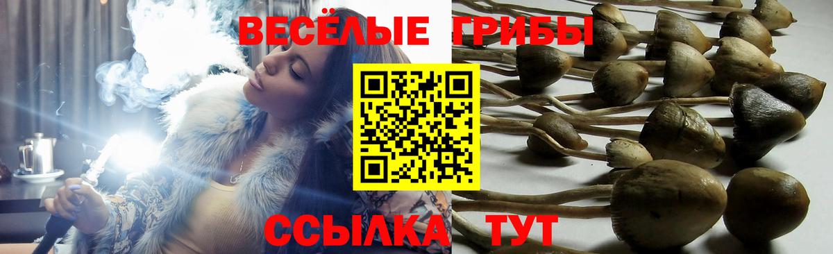 Псилоцибиновые грибы Magic Shrooms Александров