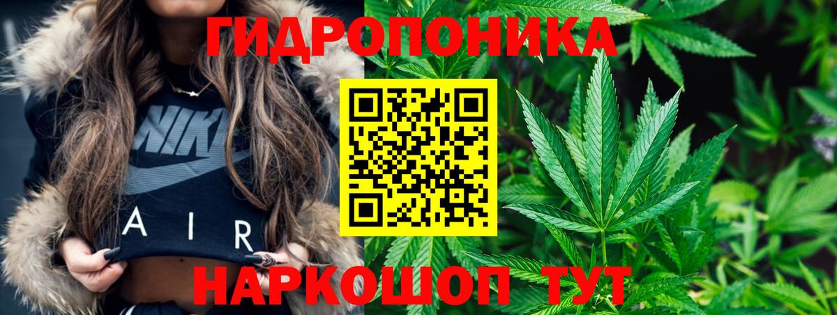 Канабис план  Бошки марихуана OG Kush  Александров  Вход с VPN 